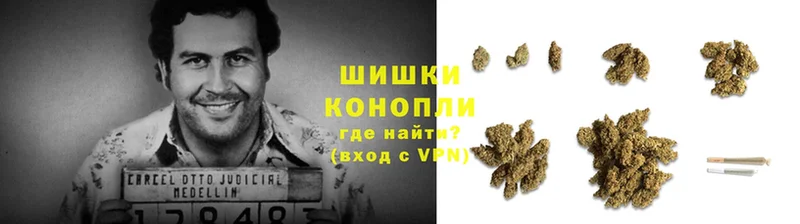 Где найти наркотики Ноябрьск MDMA  ГАШИШ  СК  Каннабис  КОКАИН 